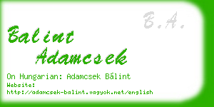 balint adamcsek business card